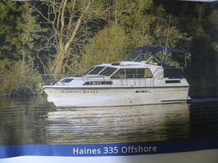 Haines 335