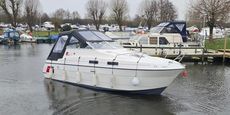 Shadow 26