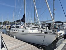 Rustler 42