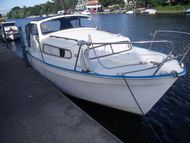 GREAT VALUE ALBIN 25 DL