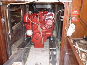 Beta 14hp