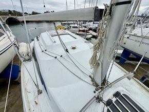 IMG 4684