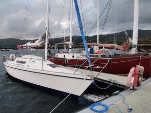 Laser 28 Tandem