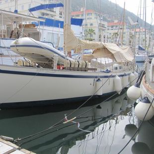 1984 Tradewind 39