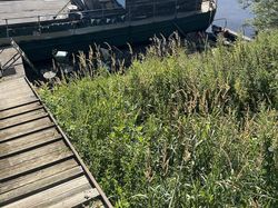 68ft x15ft refurbished Houseboat nr York with secure tenancy mooring