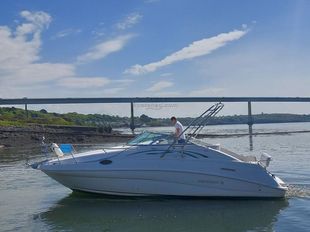 1996 Rinker Fiesta Vee 266