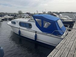 Freeman 23 'Alachua'
