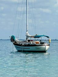 Young sun 35 price reduced