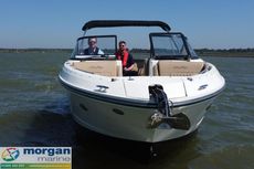 2020 Sea Ray 250 SLX