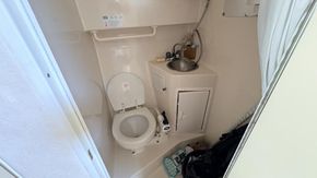 IMG 7184
