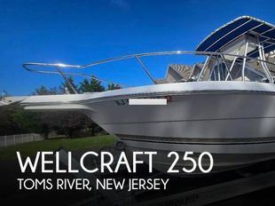 2003 Wellcraft 250 Fisherman