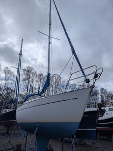 Leisure 29