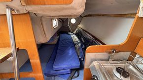 IMG 7226