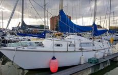 1970 Elizabethan 31