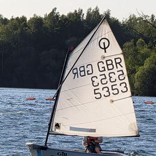Optimist sailing dinghy - Sail #5353