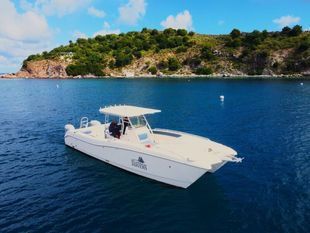 2005 World Cat 330 TE