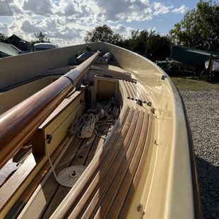 Norfolk Oyster Whimbrel