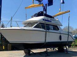 1992 Carver 26 Command Bridge