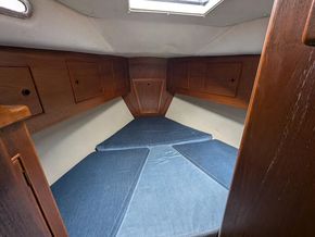 Trident Marine Voyager 38 