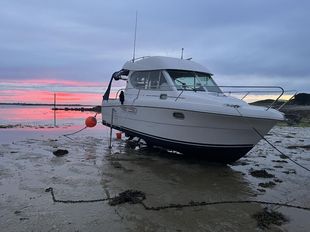Merry Fisher 805 with 2016 engine