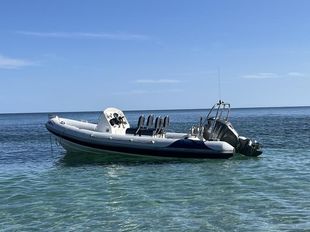 Ribeye A600 Hyplon Rib 