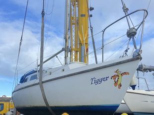 WESTERLY TIGER + YARD TRAILER + DINGHY