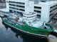 Supply / Aquaculture / Diving / working  BRT 480 Tonn