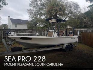 2019 Sea Pro 228