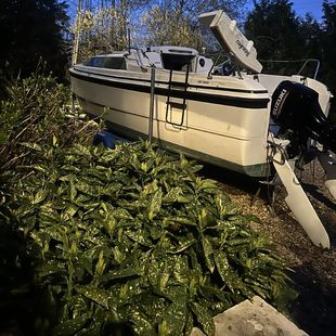 macgregor 26X sailing boat yacht motor b