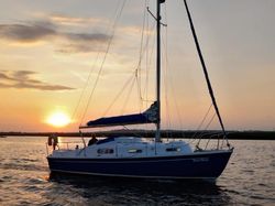 Snapdragon 27 - betamarine 20 - Essex