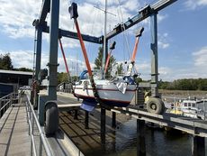 Kestrel 24