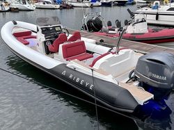 2021 Ribeye A811 w/ Yamaha 300HP