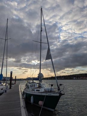 Westray chilling in the sunset Port Solent visitors pontoon 
