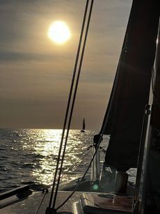 Cape Cutter 19