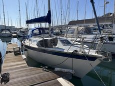 Westerly Falcon