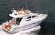 Sealine F33 (available)
