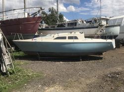 Hunter delta 25