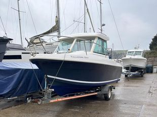Merry Fisher 625