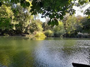 Riverside Land and Moorings, Staines upon Thames,