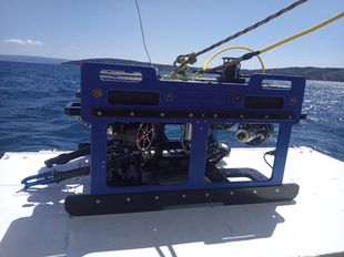 ROV ALPHAROV D500 FO Vectored config