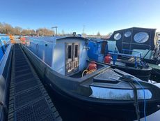 Collingwood Trad Stern