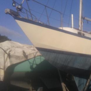 Bruce Roberts 35FT steel yacht