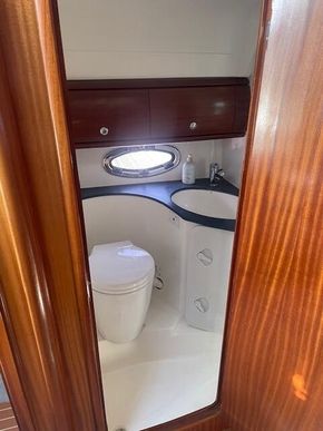 Electric loo