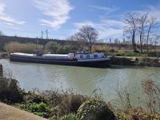 Barge - Saint Amour