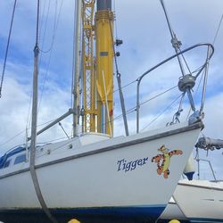 WESTERLY TIGER + YARD TRAILER + DINGHY