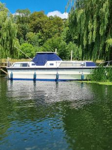Birchwood 33