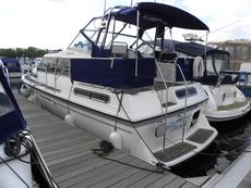 Haines 335