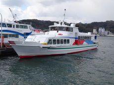 Alloy Passenger boat 80pax
