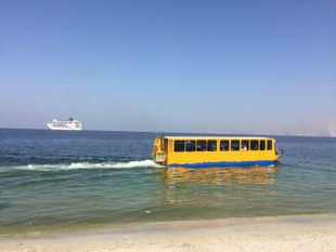 AMPHIBIOUS WATERBUS for sale