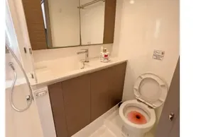 Modern yacht bathroom with mirror, sink, and toilet in Leopard 50, 2021 model.